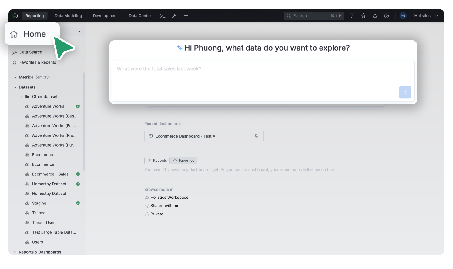 holistics-ai-thinking-process